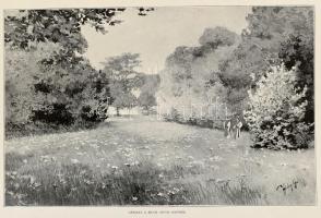 Békefi Remig: Emlékkönyv, melyet Magyarország ezeréves fennállásának ünnepén közrebocsát a hazai czi...