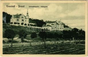 Brassó, Kronstadt, Brasov; Schlossbergzeile / Várhegysor, villa. H. Zeidner kiadása / villas (fl)