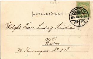 1905 Kolozsvár, Cluj; Sétatéri kioszk. Schuster Emil kiadása / park, kiosk, restaurant (EK)