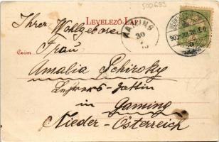 1903 Herkulesfürdő, Baile Herculane; A fürdő központja. Alfred Jäger kiadása / spa center, bath (fl)