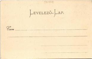 Herkulesfürdő, Baile Herculane; látkép / general view, spa (EK)