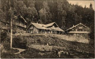 Tusnádfürdő, Baile Tusnad; Elvetiana / Schweiz szálloda, nyaraló. Adler kiadása / hotel, villa (EK)