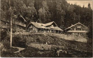 Tusnádfürdő, Baile Tusnad; Elvetiana / Schweiz szálloda, nyaraló. Adler kiadása / hotel, villa (EK)