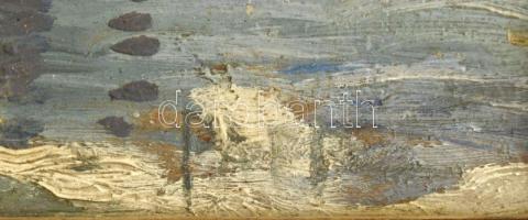 Olvashatatlan (Papp?) jelzéssel: Havas vízpart. Olaj, karton. 30x40 cm. Dekoratív fakeretben