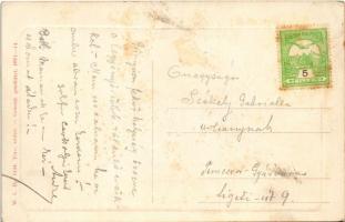 Boksánbánya, Németbogsán, Deutsch-Bogsan, Bocsa Montana; a város látképe / Totalansicht. W.L. Bp. 11...