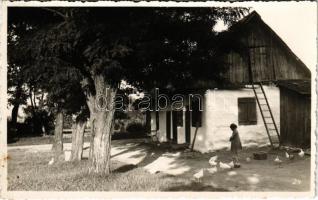 Székelyudvarhely, Odorheiu Secuiesc; ház udvara tyúkokkal. Kováts István fényképész / house backyard with chicken. photo