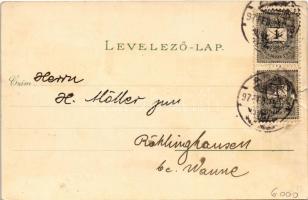 1897 (Vorläufer) Arad, Szabadság tér, színház épület délről nézve, József (Jószag) Kormányzóság palo...