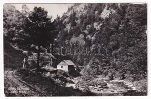 1961 Biharfüred, Stana de Vale, Stina de Vale; Valea Iadului railway / Jádvölgyi vasút