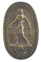 Nemes Hubert (1892- ) 1928. Harmadik Egyetemes Tanügyi Kongresszus - Budapest bronz kitűző (17x21,5mm) T:XF tű hiányzik