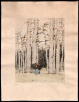 Csillag József (1894-1977): Nyíres. Színezett rézkarc, papír, jelzett. 23x18 cm