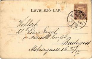 1900 Arad, Vértanúk szobra, üzletek / Martyrer-Denkmal / martyrs' monument, shops (kis szakadás...