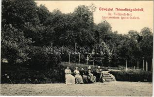 Boksánbánya, Németbogsán, Deutsch-Bogsan, Bocsa Montana; Dr. Velicsek-féle szanatórium, park részlet / sanatorium, park