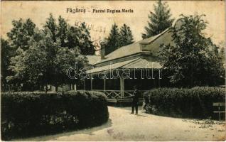 1931 Fogaras, Fagaras; Parcul Regina Maria / Mária királyné park / park (fa)