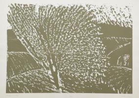 Somlai Vilma (1938-2007): Virágzó szilvafa. Színes linómetszet, papír, jelzett, számozott (6/100), 36×50 cm
