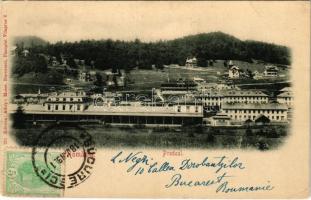 1901 Predeál, Predeal; vasútállomás, vonat, gőzmozdony / railway station, train, locomotive (EK)