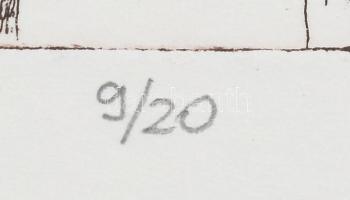 Lacza Márta (1946- ): Kitérő. Rézkarc, papír, jelzett, számozott (9/20), 20×27 cm