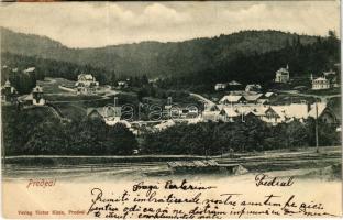 1903 Predeál, Predeal; látkép, nyaralók. Victor Klein kiadása / general view, villas (fa)