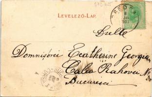 1903 Predeál, Predeal; látkép, nyaralók. Victor Klein kiadása / general view, villas (fa)