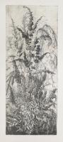 Hertay Mária (1932-2018): Füvek. Rézkarc, papír, jelzett, lap alján rézkarcot nem érintő apró szakadásokkal, 75×30 cm