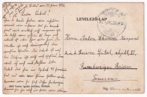 1916 Billéd, Biled; vasútállomás, gőzmozdony, vonat. Tenner Ignác kiadása / railway station, locomot...