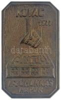 1977. KÖVAC Ifjúmunkás Napok egyoldalas bronz plakett, hátoldalán 2db akasztást segítő lyukkal, valamint Kőbányai Vas és Acél öntöde, alapítva 1911 filctoll felirattal (134x82mm) T:XF patina