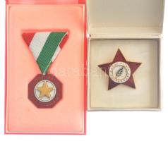 ~1970. "A Szocialista Kultúráért" zománcozott kitüntető jelvény, eredeti tokban + "A Szocialista Kultúráért" műgyantás fém kitüntetés mellszalagon, eredeti tokban T:AU