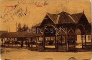 1909 Tarcsa, Tarcsafürdő, Bad Tatzmannsdorf; Sétatér. Lőwy Gusztáv és testvére kiadása / Promenade (EK)