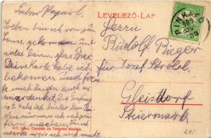 1909 Tarcsa, Tarcsafürdő, Bad Tatzmannsdorf; Sétatér. Lőwy Gusztáv és testvére kiadása / Promenade (...