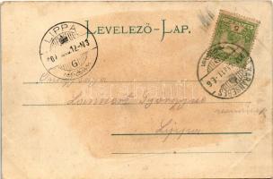 1907 Karánsebes, Caransebes; új városház. Szecessziós népviseletes montázs. H. Rosenfeld / Neues Rat...