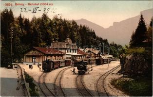 1910 Brünig, Bahnhof / railway station, trains, locomotive