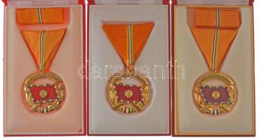 1966. "A Haza Szolgálatáért Érdemérem arany fokozat" zománcozott, aranyozott bronz kitünte...