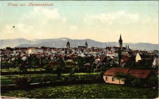 1912 Nagyszeben, Hermannstadt, Sibiu; látkép / general view. Photographie von Atelier Auerlich. Verlag Georg Meyer (EK)