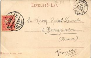 1904 Brassó, Kronstadt, Brasov; Bolonya / Blumenau / Blumana (vágott / cut)