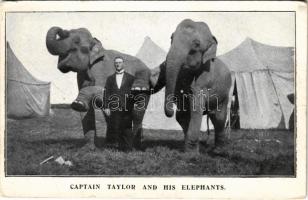 Captain taylor and his elephants, circus / Cirkuszi mutatványos elefántokkal (EK)