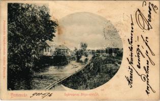 1901 Temesvár, Timisoara; Gyárváros, Béga részlet. Polatsek-féle kiadása / Fabric, Bega riverside