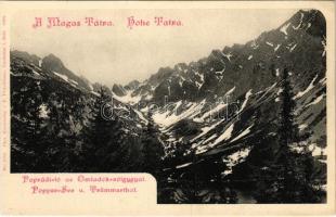 Tátra, Vysoké Tatry; Poprádi-tó az Omladék völggyel. F. Pietschmann No. 1072. 1902. / Popradske pleso / Popper See und Trümmerthal