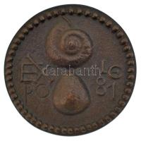 Ligeti Erika (1934-2004) 1981. "EXPO" Br emlékérem (38mm) T:AU