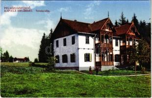 Felsőzúgó-fürdő, Ruzsbachfürdő, Bad Ober Rauschenbach, Kúpele Vysné Ruzbachy; Terézia nyaraló / villa, spa (gyűrődés / crease)