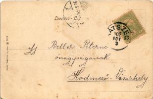 1905 Hátszeg, Hateg; Városháza, Eperjesi J. üzlete. Meskó Testvérek kiadása / town hall, shops (kopo...