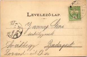 1904 Ada Kaleh, Török sziget Orsova alatt. Hairy és Ahmed kiadása / Turkish island (EK)