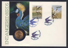 Dél-Afrikai Köztársaság 1991. 5c érmés borítékon két db bélyeggel, alkalmi bélyegzővel, hátoldali ismertetővel T:2