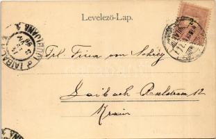 1899 (Vorläufer) Kolozsvár, Cluj; Fő tér keleti oldala, Szele Márton, Stein Bertalan üzlete. Kováts ...