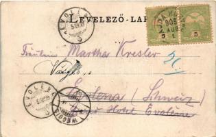 1905 Vajdahunyad, Hunedoara; Vajda-Hunyad vára / castle (EB)