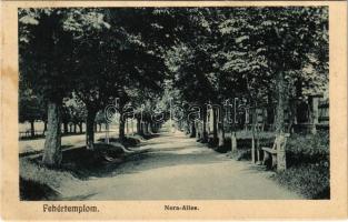 1909 Fehértemplom, Ung. Weisskirchen, Bela Crkva; Nera-Allee / Nera sétány. Hepke Berthold kiadása / promenade (fl)