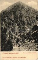 Petrozsény, Petrosany, Petrosani; szurduki szoros. Herz Arnold kiadása / Pasul Surduc / mountain pass (EK)