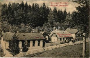 1912 Stájerlak, Steierlak, Stájerlakanina, Steierdorf, Anina; Denz villa, Denz Károly fűszerkereskedő üzlete. Viktor Félser kiadása / villa and shop (r)