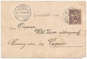 1901 Báziás, Pályaudvar és környéke, vasútállomás. Hermann Seibt 2411. / Bahnhof / railway station (...