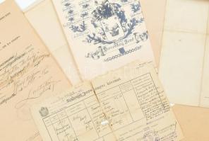 cca 1900-1940 Családtörténeti tétel: egy mappányi vegyes családfa, halotti értesítő, anyakönyvi kivo...