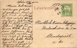 1907 Nagykárolyfalva, Károlyfalva, Karlsdorf, Banatski Karlovac; Elisabetpark / Erzsébet park. W. L....