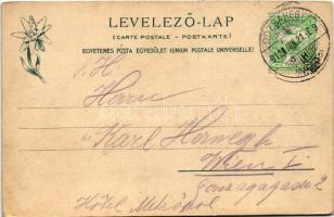 1912 Rózsahegy, Ruzomberok; Villa Seefried. Feitzinger Ede 1902/12. 415. Kr. (EK)